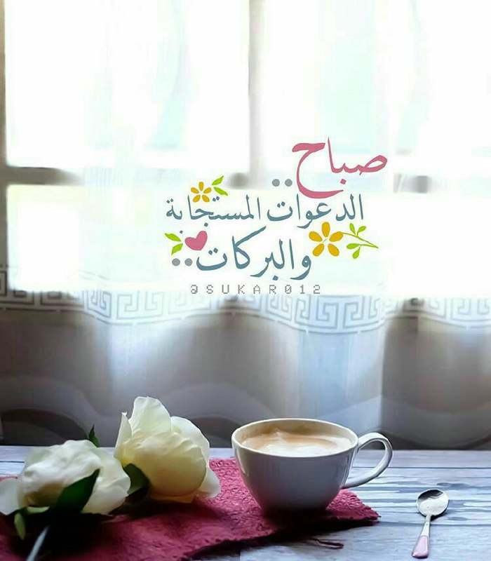 🌹💫🕊أّلَعٌشٍقِ لَلَهِ 💫🌹🕊: الحمد لله على صباح آقبل ونحن ( نسمع ونبصر ) الحمد لله .. على شمس أشرقت ونحن ( نؤمن ونشكر ) الحمد لله .. على يوم أقبل ونح