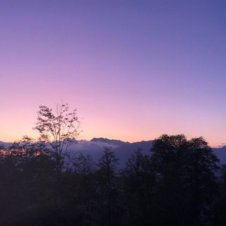 Навагинская Сочи Telegram Group Link