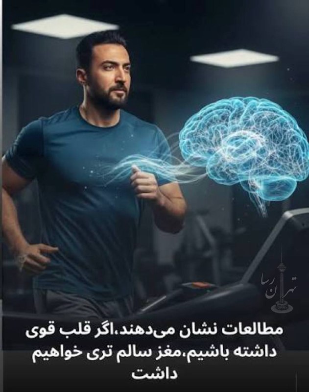 تهران رسا: قلب قویتر؛ ماده سفید مغز سالمتر؟🧠🏃♂️🔹فعالیت هوازی فقط برای قلب و ریه مفید نیست؛ پژوهشهای MRI نشان دادهاند افرادی که
