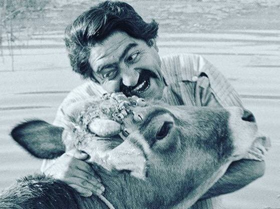 نغمه های دلتنگی: * * * مش حسن * * * مش حسن می دانستکه اگر یکروزی بتواندشکمی سیر علفکه هم از توبرهو آخور یکجا بخورد ،می تواند بشود فربه و