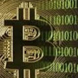 Crypto Wolf Утечки