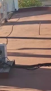 Главарь крупнейшего наркокартеля "Халиско Новое поколение" (CJNG) Эль Менчо убит мексиканской армией. После этого в стране начались беспорядки. Как сообщило Министерство обороны Мексики, операция проводилась в городе Тапальпа на западе страны. Эль Менчо ск