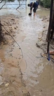 מתחת לגשם וללא מחסה סבלם של העקורים בעזה מחריף כאשר אוהלים הרעועים שלהם שוקעים, והם מוצאים את עצמם בעימות י…