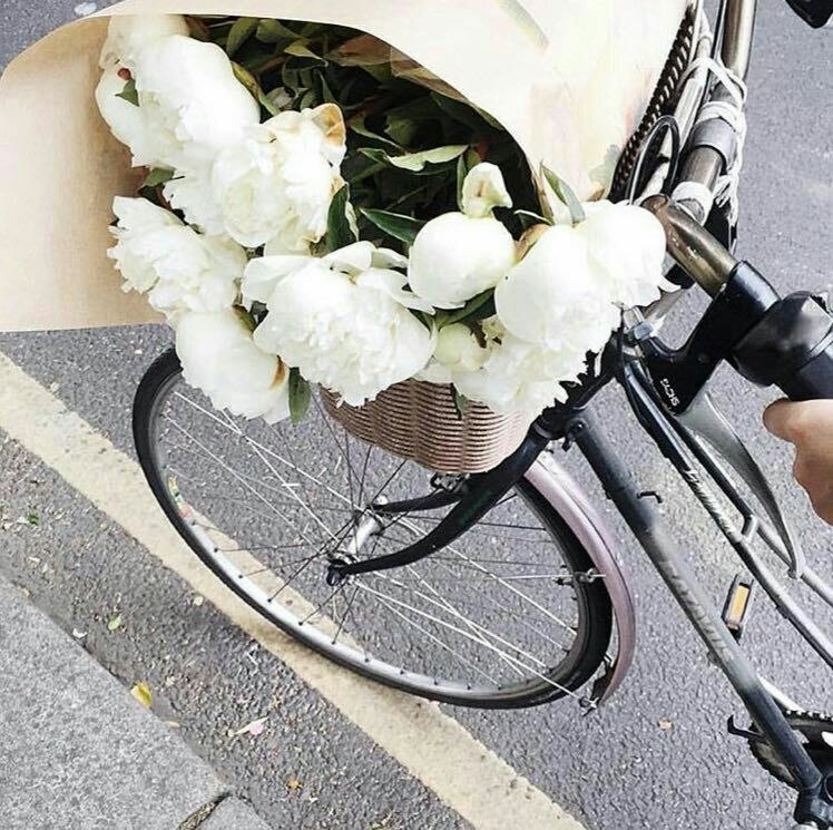 پل ارتباطی💕💗: مهم نیست چه شغلی داری...فقط کافیه عاشقش باشی تا ازش لذت ببری☘❣🌸
