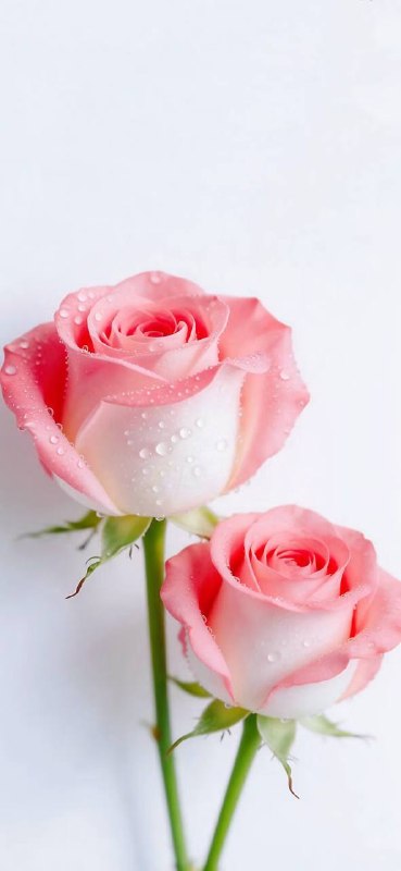 #شعروادب: رقیبا من نمیگویم گل و باغ و بهار از منبهار از تو، گل از تو، هر دو عالَم از تو یار از منَ#خالص_مشهدی🌸🍃🌸🍃꧁꧂♥️شعرو
