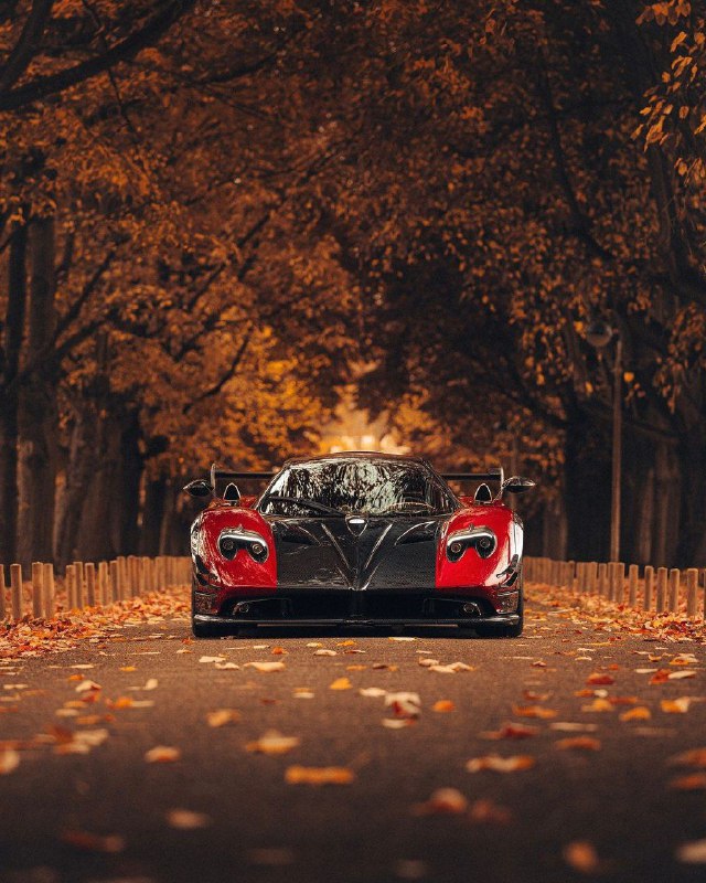 Pagani Zonda MY Roadster 2