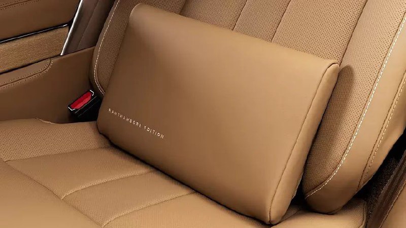 Range Rover SV получил спецверсию Ranthambore 8