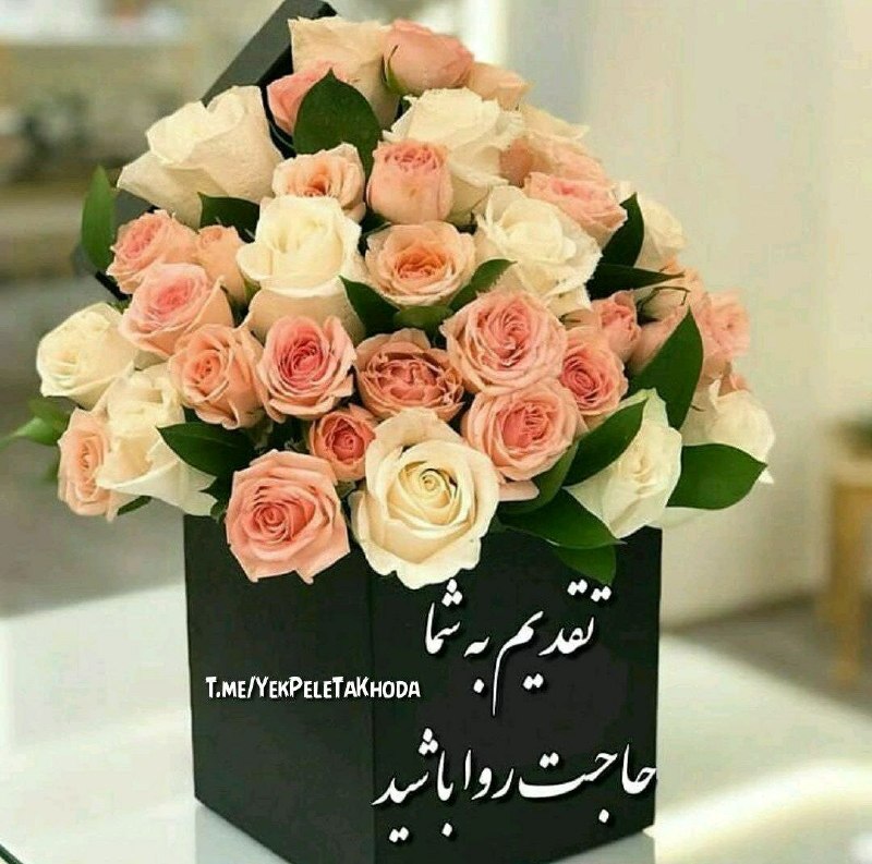 ۞یک پله تا ملاقات خدا۞: 🌹 @YekPeleTaKhoda🌹خدا گر چه گل‌ها را💐یکی از دیگری🌹زیباتر آفرید 💐اما تنها شما زیباترین🌹گل آفرینشش هستید💐ای زیباترین ها🌹شا