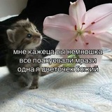 Не заходить, опасно для психики