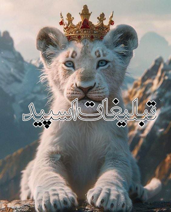 گروه دخترونه دوستیابی قم: ❶﹚ نام : کــلـبه آرامـــشـ😍❤️❷﹚ نو؏ تبلیغات : #telegram❸﹚ توضیحات :⚜️۝رفتن PV✬ریمو⚜️⚜️۝بـے جنبہ✬⇚نیاد⇛⚜️⚜️۝لینـڪ✬⇚خدافظے