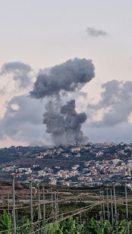 עלי שועיב - חדשות הגבול 🇱🇧