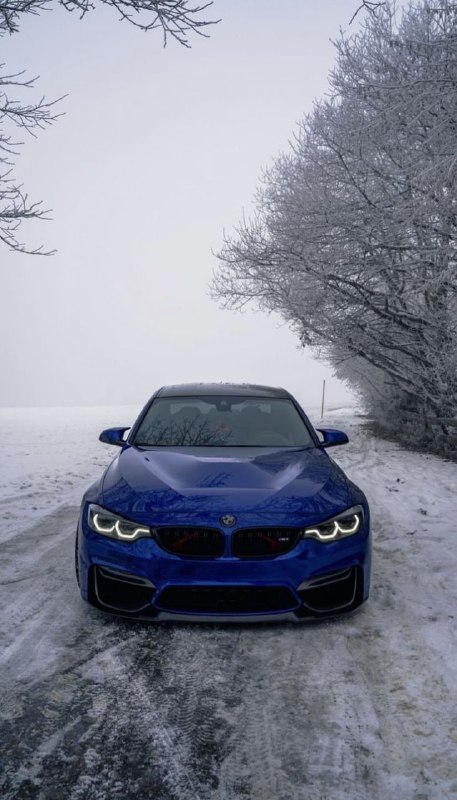 https://t.me/bmw_mpower_club