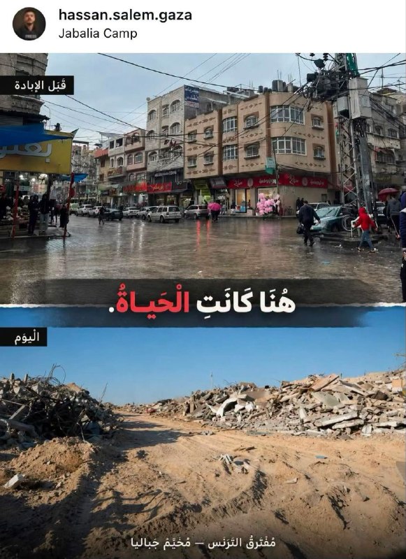 Haifainfo.com