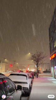 据说纽约要下3年来最大的一场雪据说纽约要下3年来最大的一场雪，貌似开始了