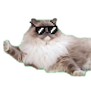 Telegram profile photo for EzBonus
