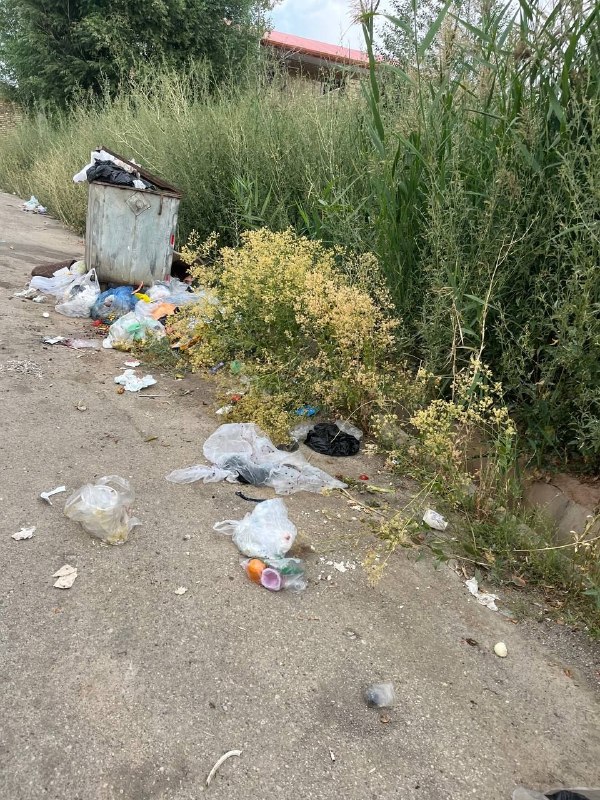 کانال روستای منصور (بهشت پنهان): وضعیت ناگوار زبالهباز هم ایام تعطیل و انباشته شدن زبالهاز شورا محترم و دهیار محترمه روستا و هیئت امنا خواهشمندیم فکری بر