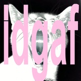 idgaf ˚˖𓍢ִ໋🗡️˚ | ai bots