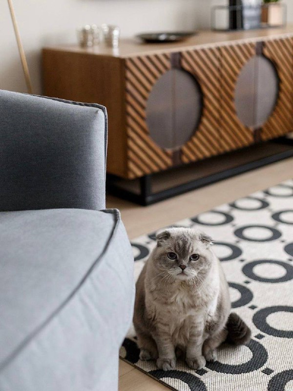 Питомцы в интерьере для вашего хорошего настроения Please open Telegram to view this post VIEW IN TELEGRAM - изображение 7 - telegram, view, питомцы