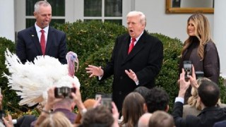 白宫感恩节火鸡赦免温馨仪式 变成特朗普风格的“政治脱口秀”法新社华盛顿消息，美国总统特朗普将原本最温馨的华府传统，变成了一场充满火药味的政治秀，在白宫感恩节火鸡赦免仪式上，节庆气氛被换成一连串政治算帐。👉 继续浏览后续：https://rfi.my/CDTF.g