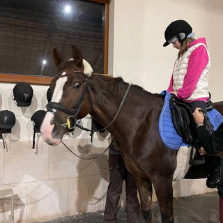 𝐇𝐨𝐫𝐬𝐞𝐕𝐞𝐧𝐭🌸 Telegram Group Link