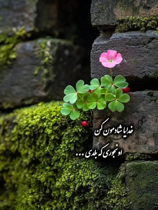 ✔️👈 بََََِِِِِـرتِِِِِِِِِِـََََریََََِِِِِِِِنـََََِِِِِِِِهـٍََََِِِِِِِـاََََِِِِِِِِ 👉✔️: خدایا شادمون کن🤲اونجوری که بلدی …👌🦋سلام دوستان عصرتون قشنگ😍♥️🫶🥰👸@bartarinhaxxxx🌹🌹🌹