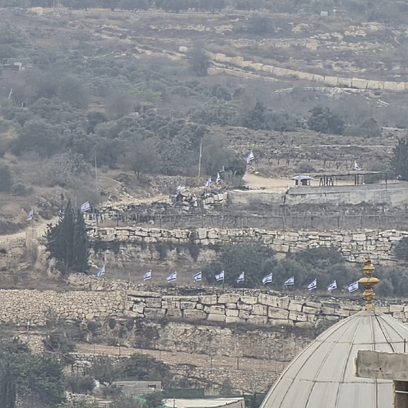 לאחר שתפסו אותו מתנחלים מרימים דגלי כיבוש על בתים סמוכים לכביש "ואדי אלקף" בעיירה בית כחיל, צפונית מערבית ל…