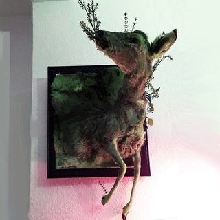 kunst_kultur_wissen_LE