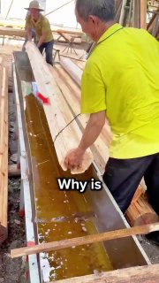 Why do they soak wood in diesel? The surprising reason old American homes still stand Did you know? 🎓