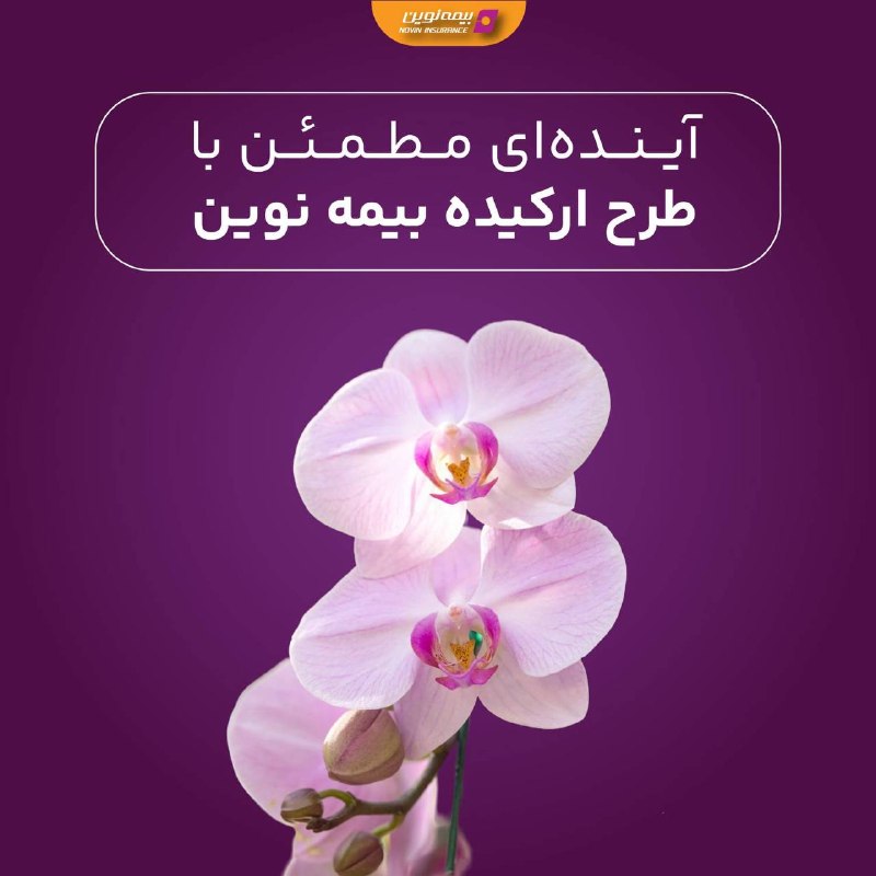 کانال رسمی بیمه نوین: 📌مزایای خاص بیمه زندگی ارکیده؛ همراهی مطمئن برای آیندهبا بیمه زندگی ارکیده نوین، علاوه بر ساختن پشتوانه‌ای مالی برای سال