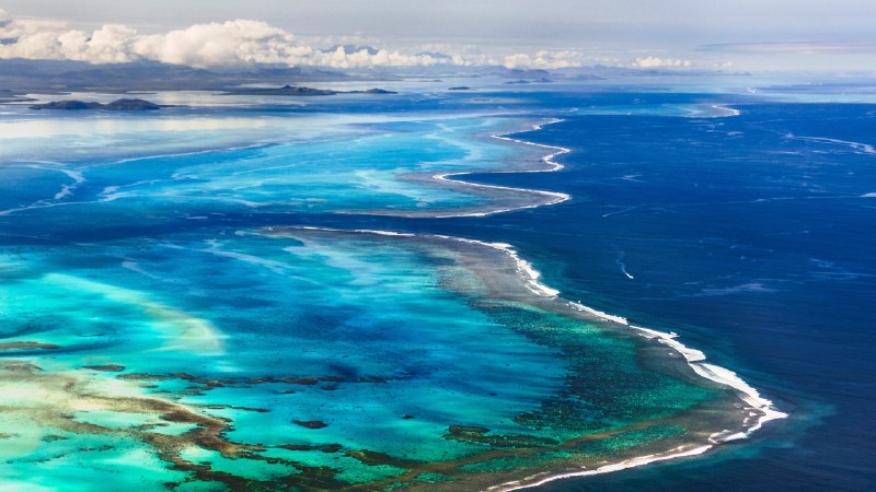 Under the seaBarrier reef off the island of Grande Terre in the French overseas territory of New Caledonia (© Karsten Wrobel/Getty Images)
