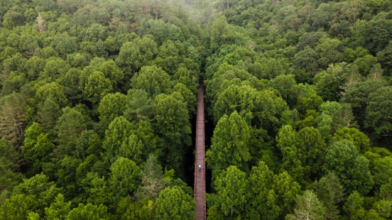 Trailing through timeAerial view of the Virginia Creeper Trail, Damascus, Virginia (© Eifel Kreutz/Getty Images)
