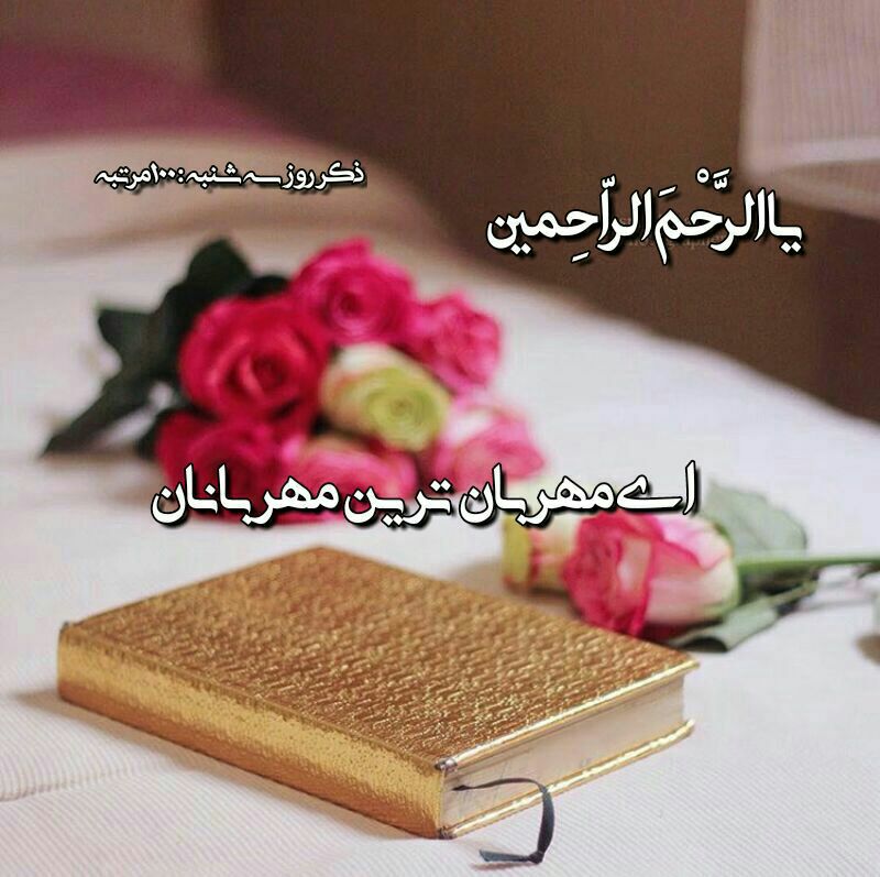 ♨️میم مثل مـــ❤️ـــادر♨️: نیایش صبحگاهی 🌺 🍃 🌺 خدايا🙏🌸🍃دراین صبح سه شنبه ماه ربیع الاول 🌸🍃به حق آقا امام زمان (عج) 🌸🍃حاجت همه حاجتمندان را روا