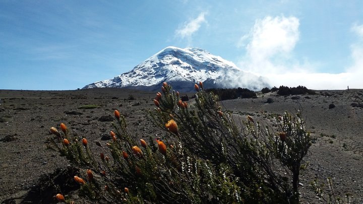 南美大陸的北安地斯山脈健行─厄瓜多爾篇