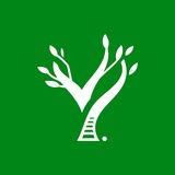 YeaHub Events