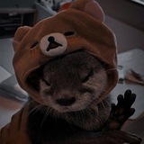 заводь выдры I otter's nook
