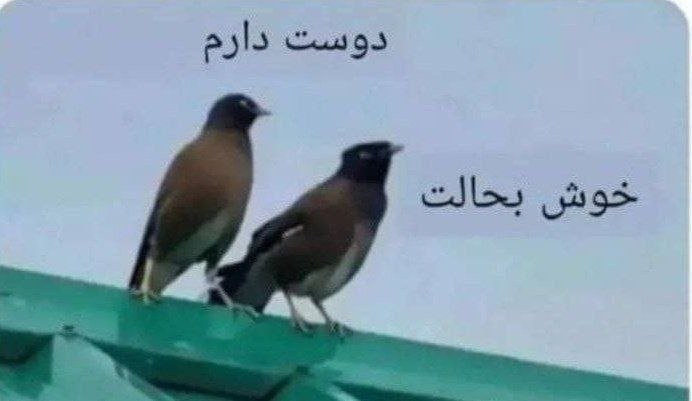 ❣️ دلنوشتهها: وقتی یه دختر قهر میکنه:😄😁🤦♀