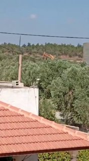הכיבוש דוחף אדמות של חקלאים בעיירה זאבובה, ממערב לג'נין