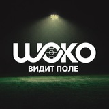 ШОКО ВИДИТ ПОЛЕ