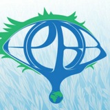ХЁРБ!
