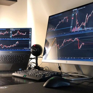 مناقشات forex gaza