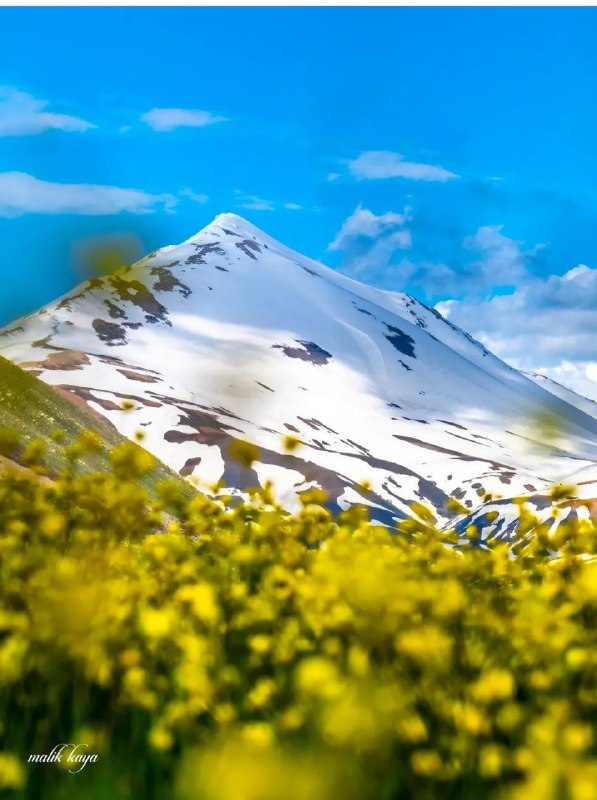 NuceQalawiShaho قالاو: 📆 ئەمڕۆ پێنچشەممە بەیانی تان باش ...🌾🌹٢٩ی گەلاوێژی 2726ی کوردی🌾🌹٢٩ی موردادی 405ی هەتاوی🌾🌹٢٠ی ئاگۆستی 2026ی زایینی🌾🌹۰٧ی ڕ