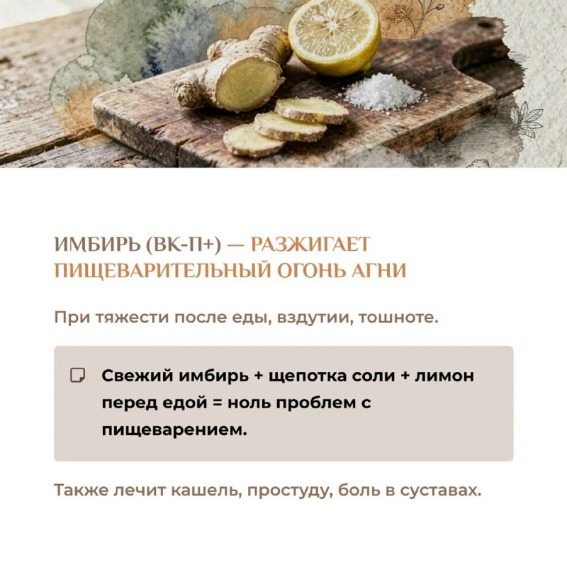 Еда — не просто калории: ваш секретный союзник в борьбе за здоровье 8