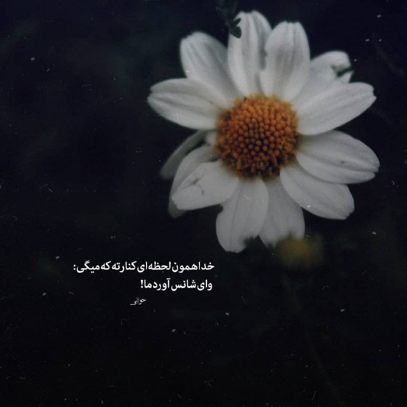 Profile Special: رسانه پست