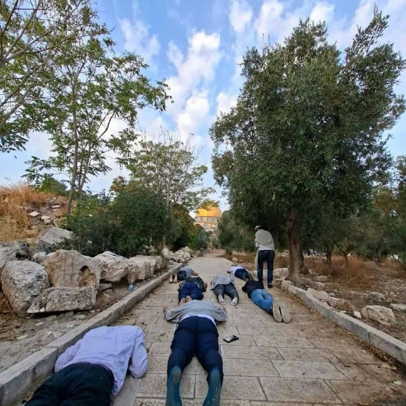 מסגד אל-אקצא הבוקר. המתנחלים מקיימים את "פולחןיהם" מבלי להיתקל במכשולים או התנגדויות. והאחראים (ההאשמים) עס…