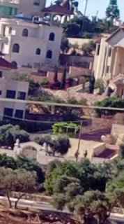 רשת חדשות ירושלים