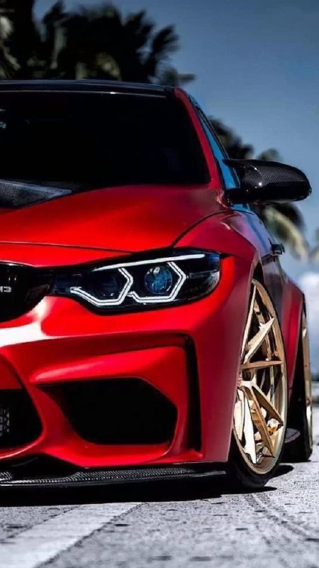 https://t.me/bmw_mpower_club