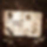 𝖨𝗇𝖿𝗈 𝖣𝗋𝖾𝖺𝗆𝖾𝗅𝗅𝖾