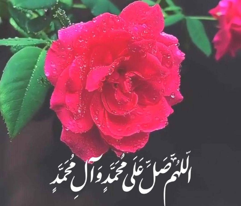 آوای فردوس Avayferdows: روز خود را با صلوات بر محمد و آل محمد آغاز کنید... @avaferdows 👈