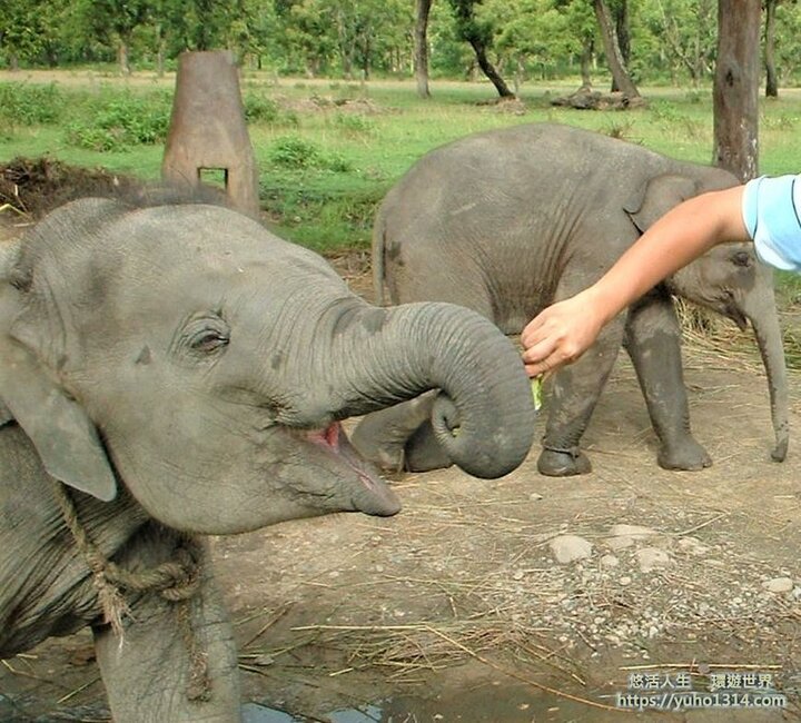 【暖心文】尼泊爾到印度 驚奇又難忘的旅程!