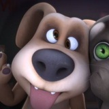 🐾𝗧𝗧𝗔𝗙 𝗖𝗢𝗡𝗙𝗘𝗦𝗦𝗜𝗢𝗡🐾